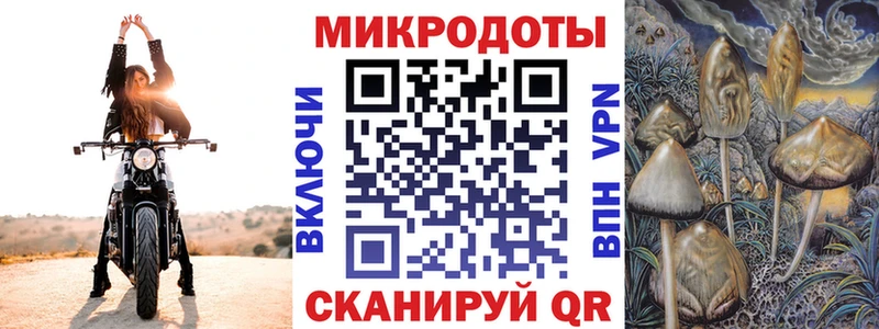 Псилоцибиновые грибы Psilocybe Бакал