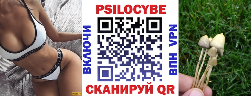Купить закладки  Бакал  Псилоцибиновые грибы MAGIC MUSHROOMS 